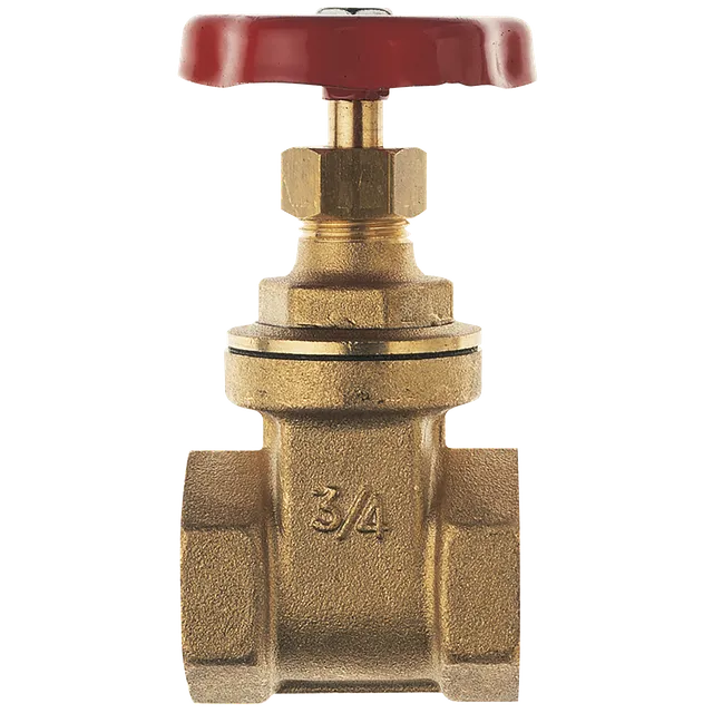 FT Pro BSP Female Heavy Brass Gate Valve