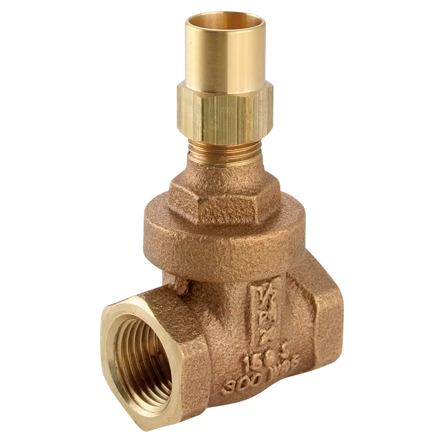 FT Pro BSPT FXF Bronze Gate Valve Lockshield
