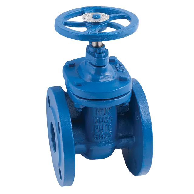 FT Pro PN16 Cast Iron Gate Valve Metal Seat