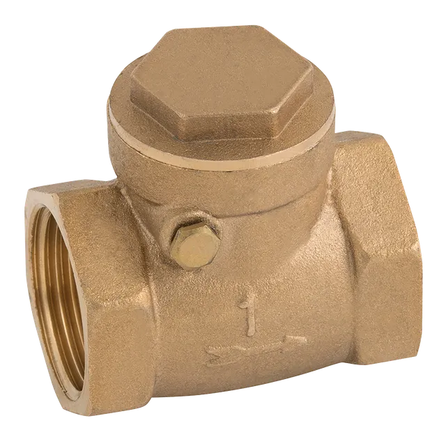 FT Pro BSP Brass Swing Check Valve Metal Seat