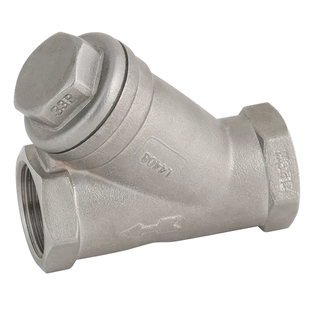 FT Pro BSP SS Y Strainer 800 PSI