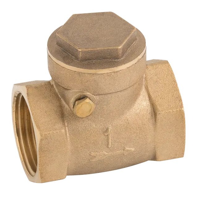 FT Pro BSP Brass Swing Check Valve Rubber Seat