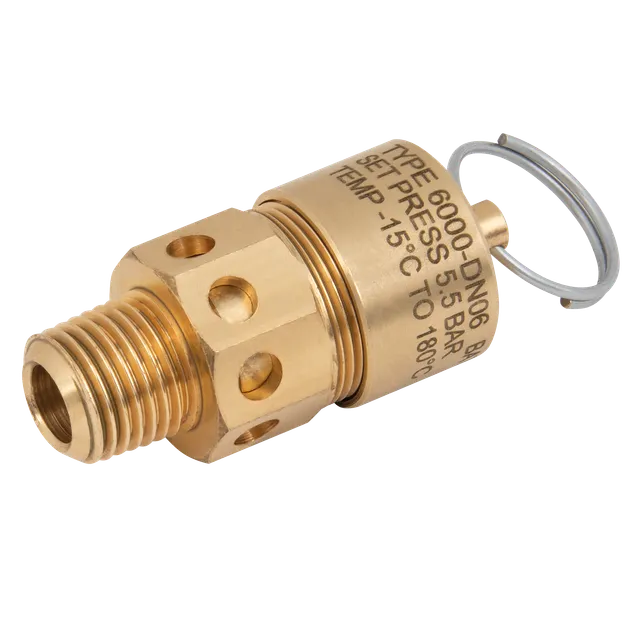 FT Pro 1/4" BSPT 6000 Relief Valve