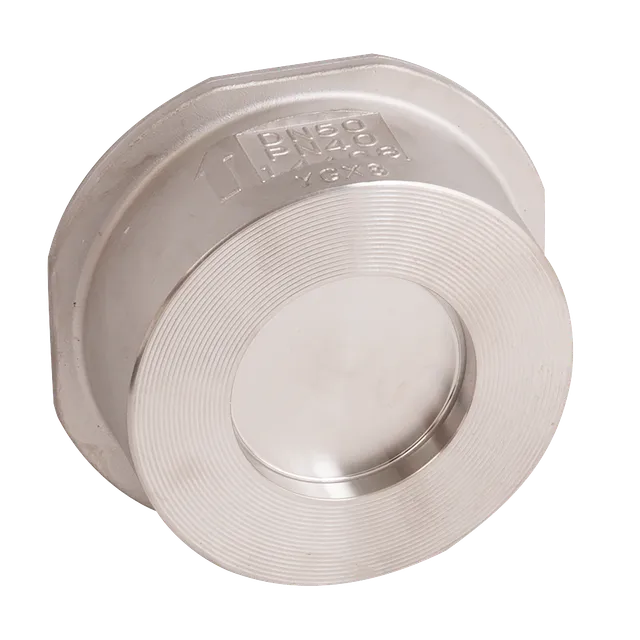 FT Pro PN16/ASA150 SS Wafer Disc Check Valve