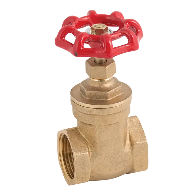 FT Pro BSPP PN20 Brass Gate Valve