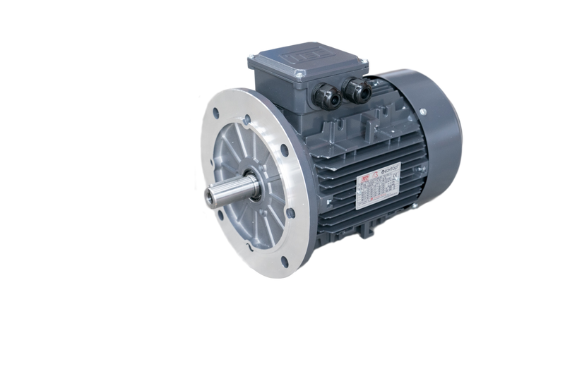 TEC IE3 Electric Motor 6 Pole 1000 RPM / 18.5 Kw / Frame Size:200L1-6 / Cast Iron B5 Flange Mounted